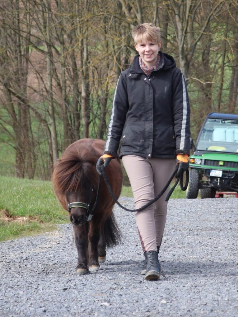 Bodenarbeit Pferd Problempferde Homberg Schwalm-Eder-Kreis Nordhessen