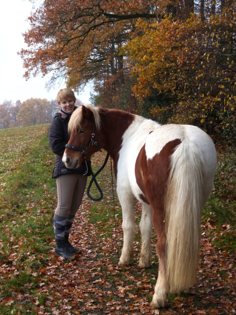 Futterlob für das Pferd