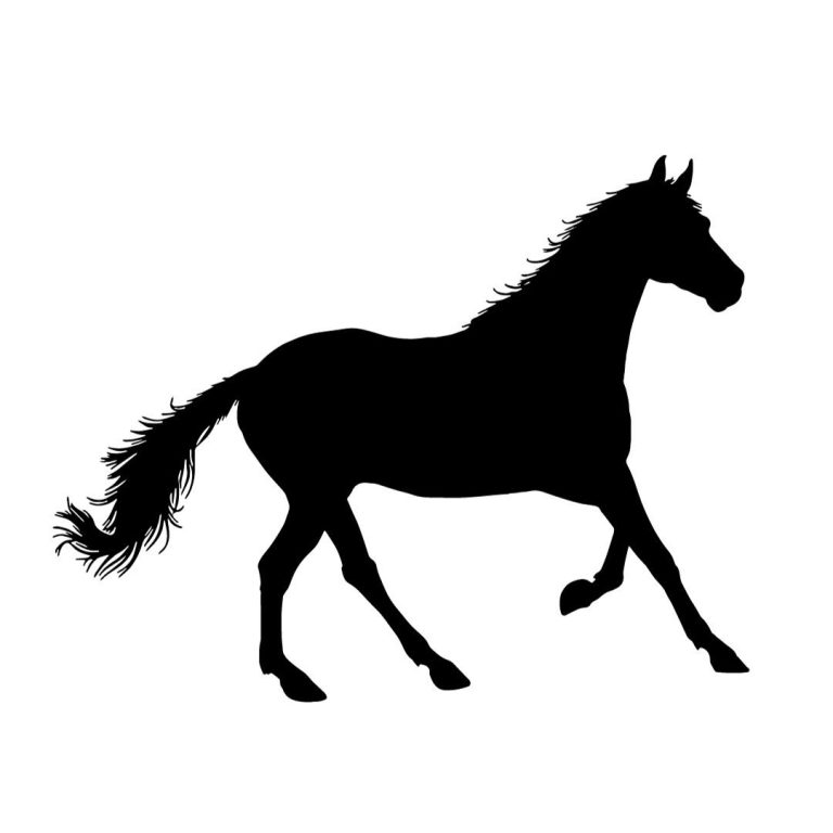 Galoppierendes Pferd