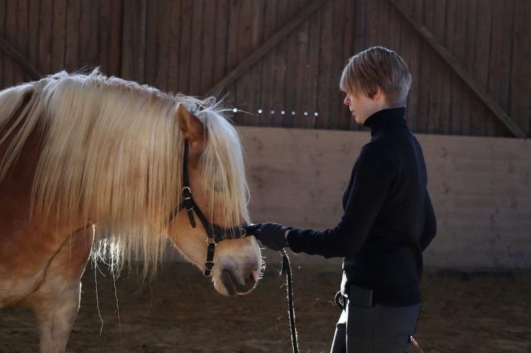 Clickertraining Schwalm-Eder-Kreis