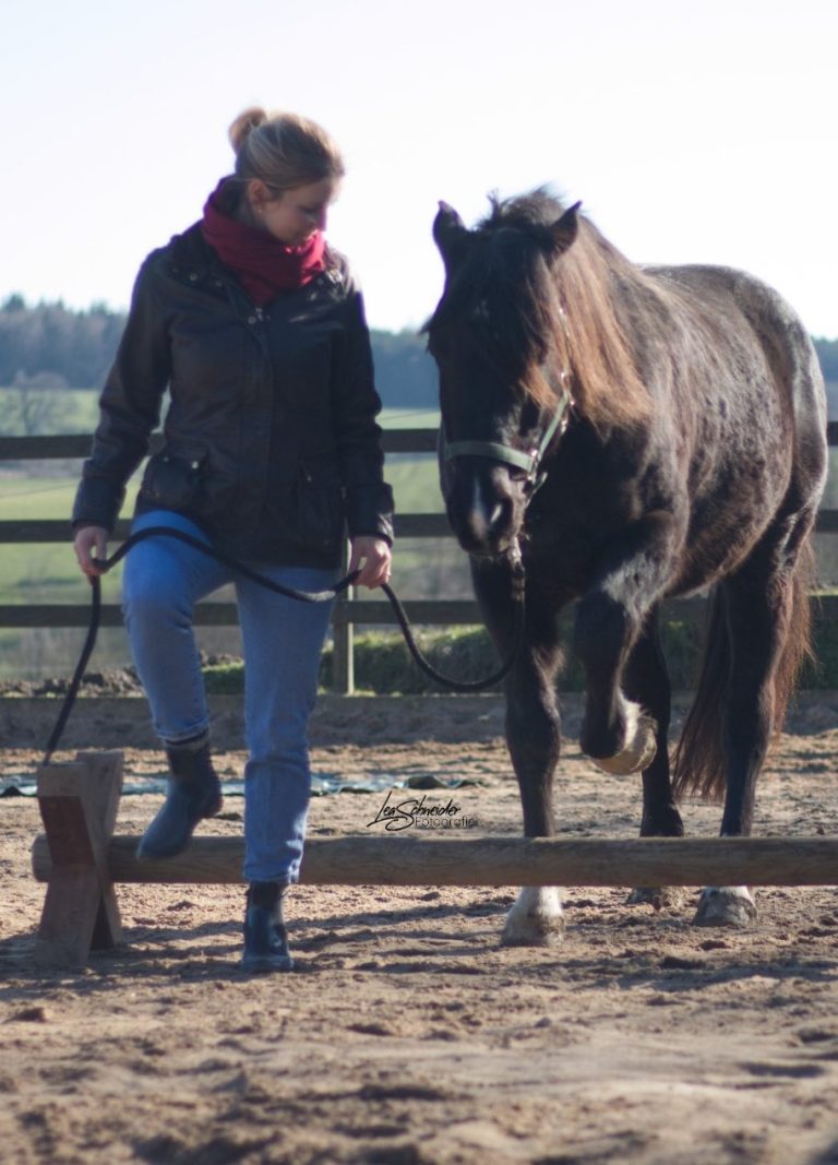 Coaching mit Pferd Homberg Schwalm-Eder-Kreis Nordhessen