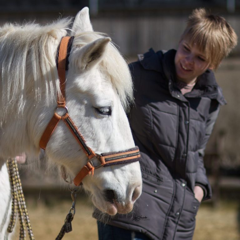 Spazierengehen mit Pferd Nordhessen Schwalm-Eder-Kreis Homberg