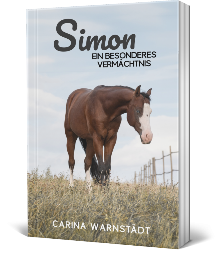 Jugendbuch Pferd: Simon Ein besonderes Vermächtnis