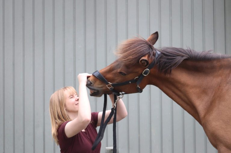 Carina Warnstädt schaut Pferd ins Maul beim Medical Training